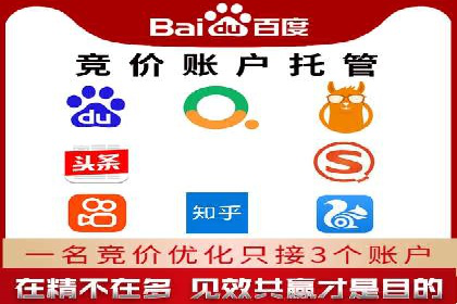 实战派经验分享：百度竞价代理成功案例揭秘